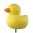duckydodger