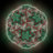 Rhinovirus