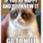 grumpiestcat