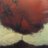 PGY_Celd