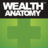 Wealth Anatomy