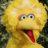 Big_Burd