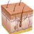 skincubed
