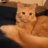 ConwayKitty13
