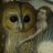 MEDonymous_Bot