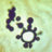 Paracoccidiodes