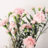 carnations