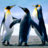 Program Coordinator PM&R