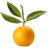 Bergamot
