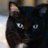 RoryCat