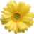 LeLeMon