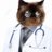 doctorkitty