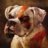 Doggowar7