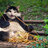 trshtalkinpanda