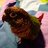 birds sdrib