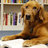 PedPsychPhD