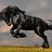 Bucephalus_326
