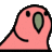 NinjasAtMyDoor