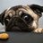 TheWheezingPug
