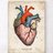 FutureHeartDOctor