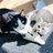CatMomFutureVet