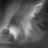 bluemorpho96