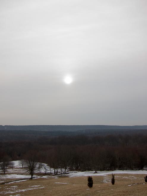 20100117.jpg