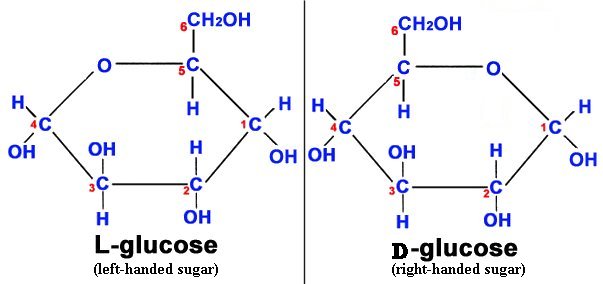 What is the structure of D(+) glucose and L(-) glucose?