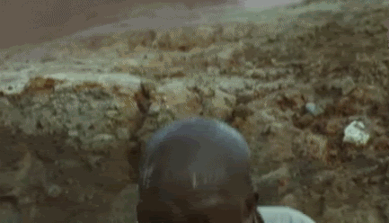21ls9iv.gif