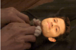 giphy.gif