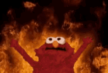 elmo-hello.gif