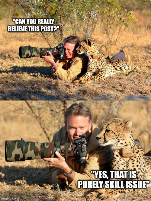 6w42hg.jpg