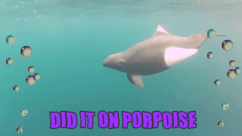 53pl8Kg.gif