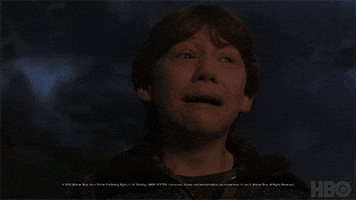 scared harry potter GIF by HBO