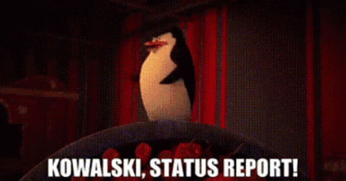 Penguins Of Madagascar Skipper GIF - Penguins Of Madagascar Skipper Kowalski  Status Report - Discover & Share GIFs