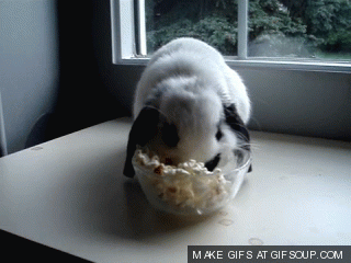 jwsCI.gif