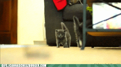 JfwXseeIDE6HGez_jc9J9A2.gif