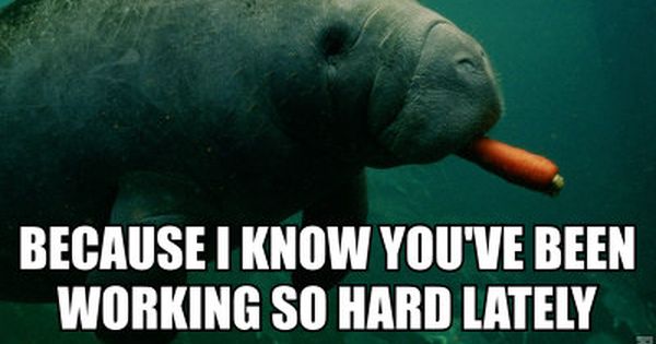 a1d96d8156f5bb17b8ddf1eea42a69d0.jpg