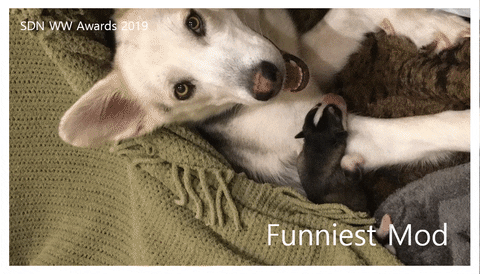 giphy.gif