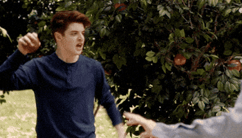 kaitlin olson apple picking GIF by The Mick