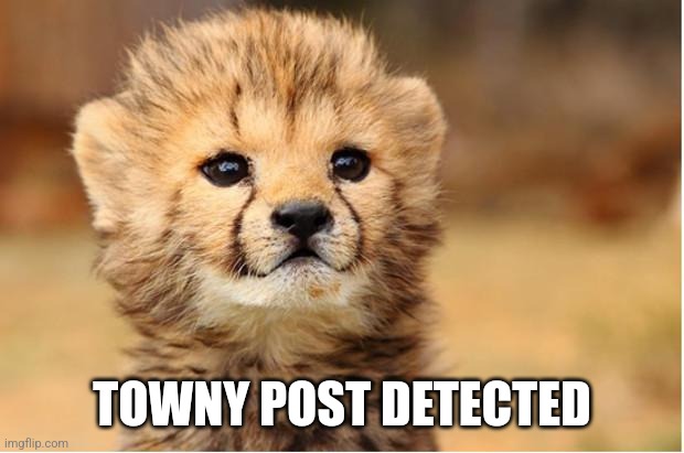 6w432r.jpg