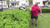 247YGT8.gif