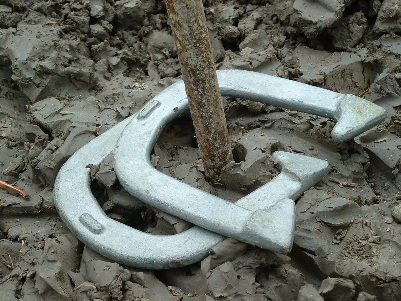 Horseshoes_game.jpg