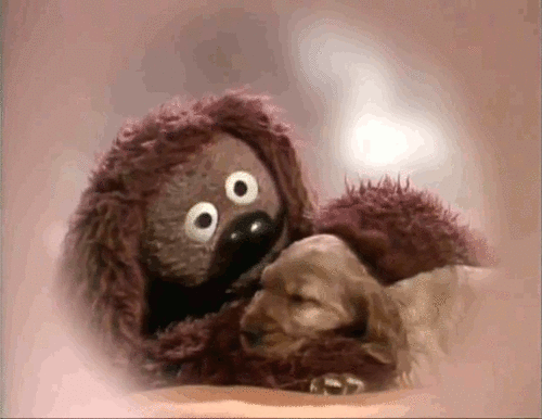 ca5736f0c6850b9e99fda030f10dd024.gif