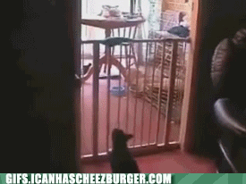 hNIQd9MT6EKHVL5TpSS7hg2.gif