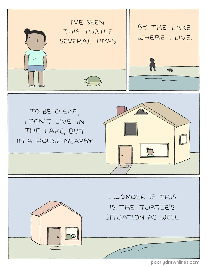 this-turtle.png