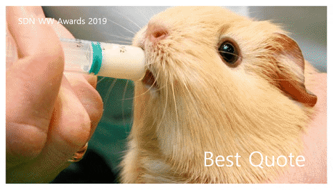 giphy.gif