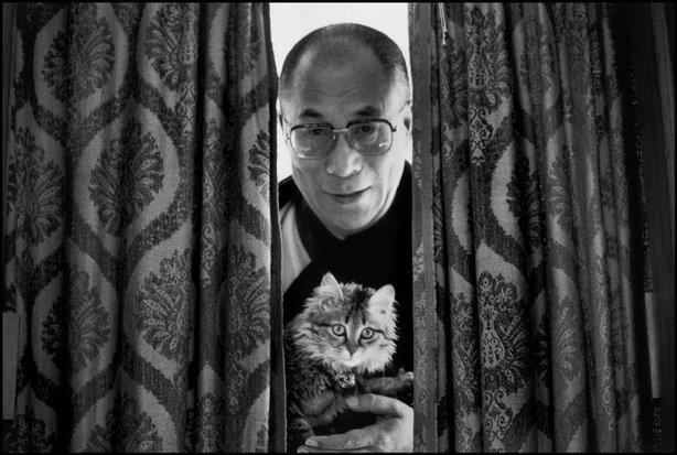 dalai-lama-with-cat.jpg