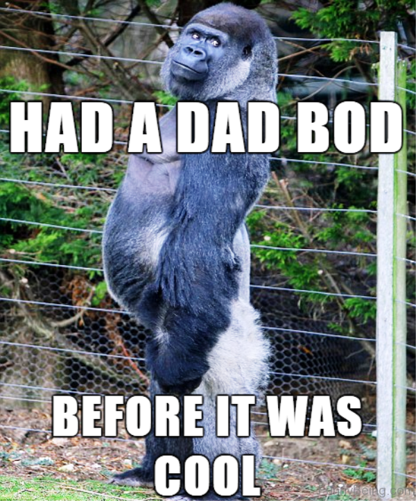 Had-A-Dad-Bod-600x722.png