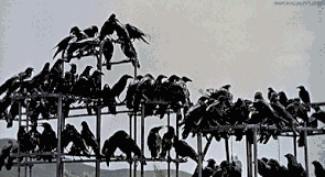 PMujiXj.gif